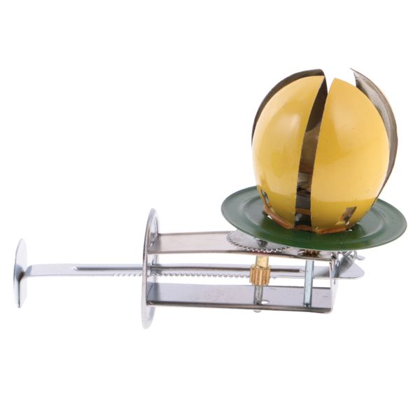 

creative easter egg wind-up clockwork spring tin toy collectibles gift