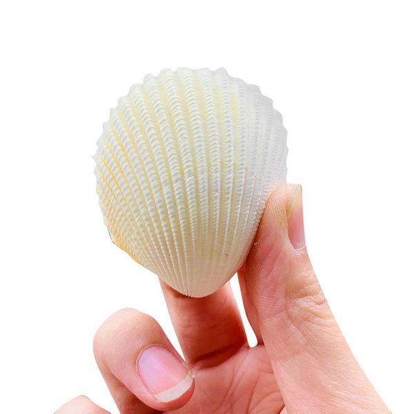 

natural seashells shell for fish tank home decorations beach theme party candle making wedding decor diy crafts fish tan h bbyype