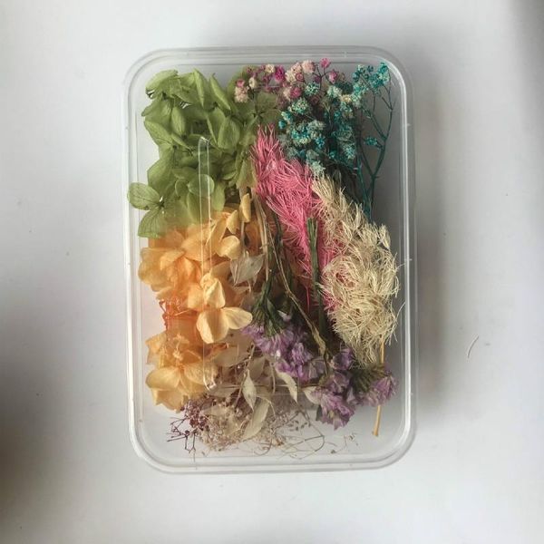 

природные real flower ассорти цветов сухих цветов смола craft supplies включения гербарий лист цветочные украшения изготовление wmtbqj bdega, Black