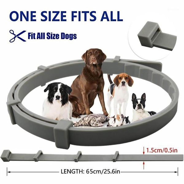 

pet dog collar anti flea ticks mosquitoes outdoor protective adjustable pet collar waterproof protection dog accessories1