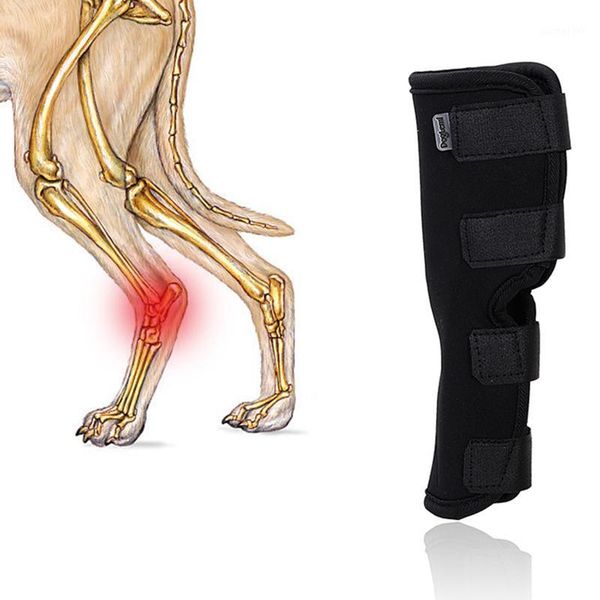

1pc pet joint fixed bandage recover wound dog heal band legs ankle safety protector knee brace dogs canine leg back anterior1