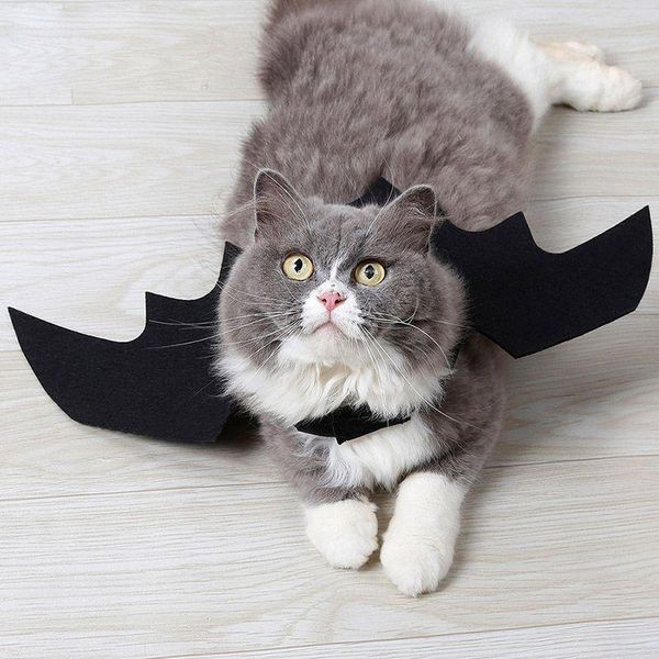 

смешные кошки косплей костюм хэллоуин pet bat wings wings cat bat костюм fit party собаки кошки играют аксессуары для домашних животных h wm