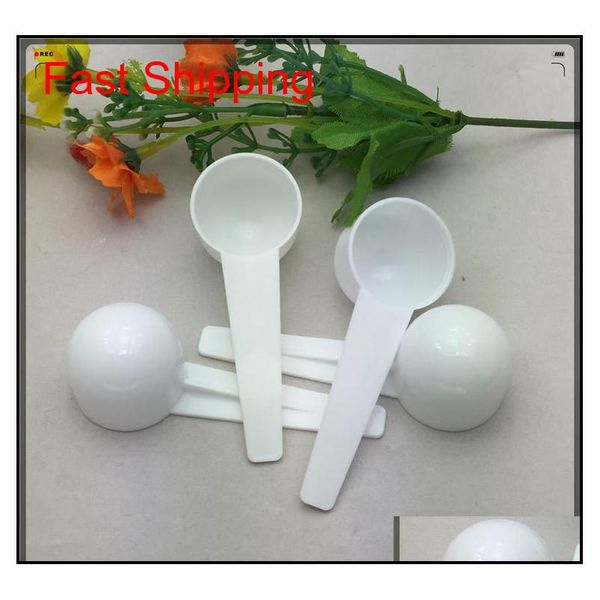 

measure plastic spoon plastic measuring scoop 5g measure spoo qyltnv mj_bag