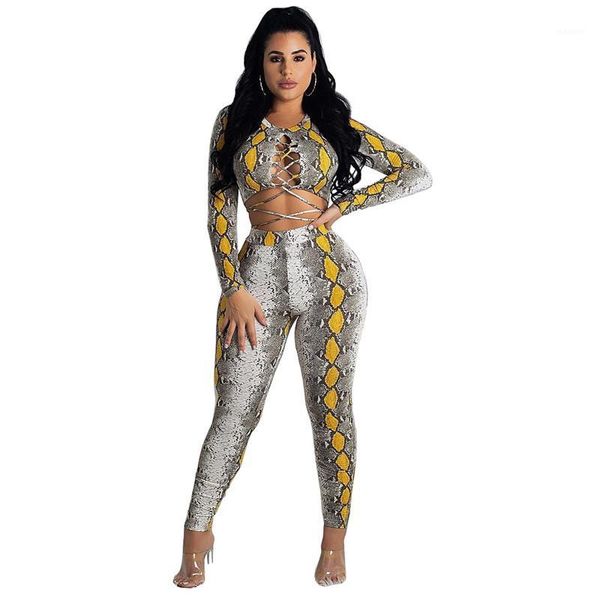 

snake print 2 piece set women long sleeve lace up crop and pant suit club party matching sets 2 piece outfits for women1, Gray