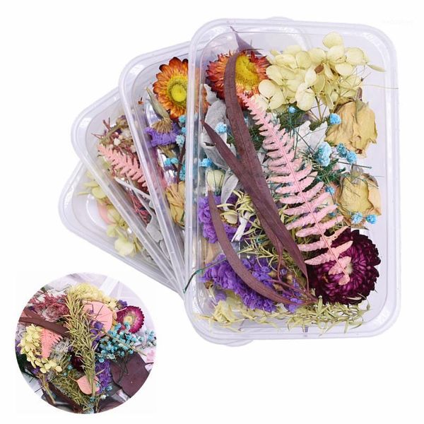 

decorative flowers & wreaths 1 box mixed real dried flower natureal preserved floral scrapbooking resin jewelry material diy art craft dry p