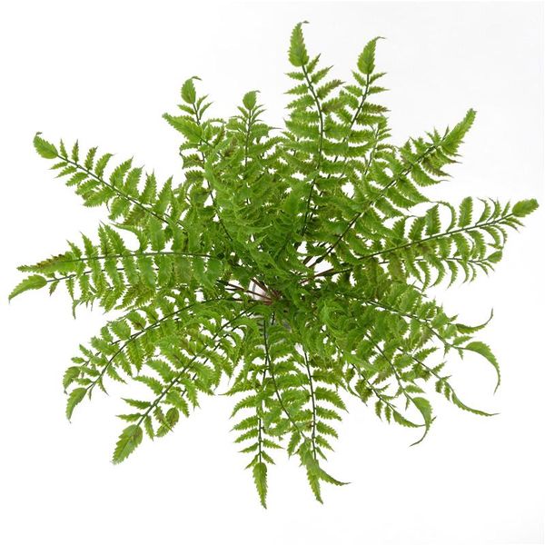 

decorative flowers & wreaths artificial green 17 bunch fern leaves persian grass fake plants wall hanging plastic leaf bonsai home wedding d