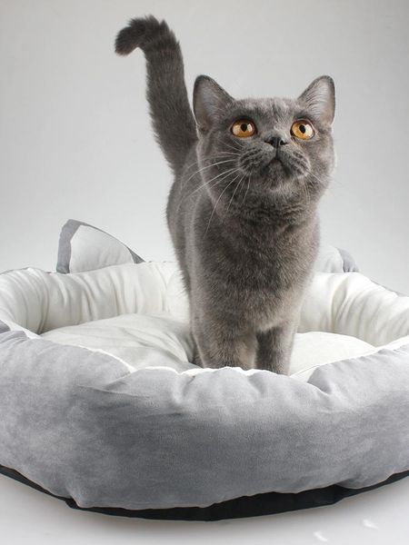 

cat beds & furniture soft lovely sleeping kennel outdoor trap mats puppy for small dogs mat warm pet house products 60mw