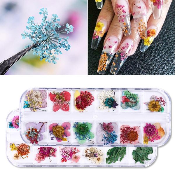 

nail art decorations 1 box 3d pink yellow purple colorful preserved fresh dried flowers diy design accessories tips, Silver;gold