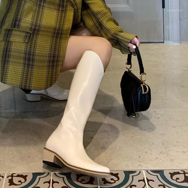 

2020 new beige leather women long boots pointed toe knee high knight bottes femmes brown motorcycle botas side zip winter boots1, Black