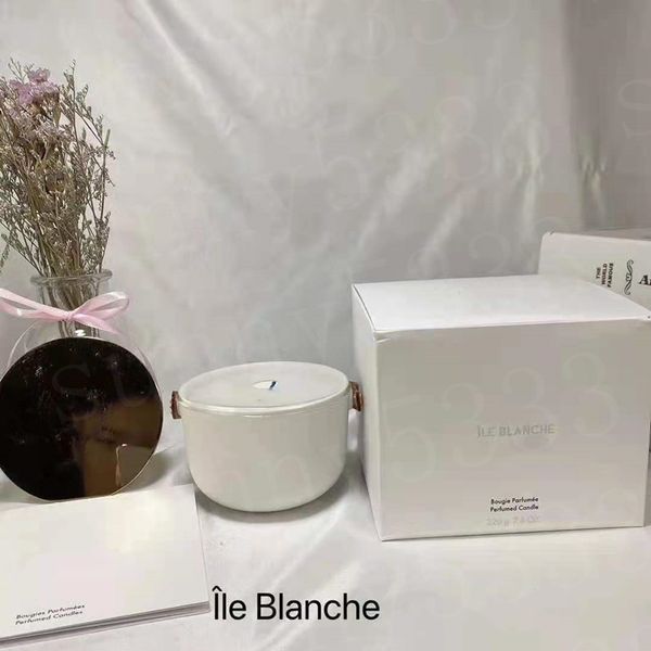 Candle de fragrância em casa ao ar livre 220g para homens e mulheres, spa, banho, ioga, velas de decoração de casa