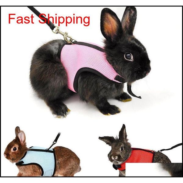 

small pet harness leashes soft breathable harness leash lead for hamster rabbit guinea qyluhg new_dhbest