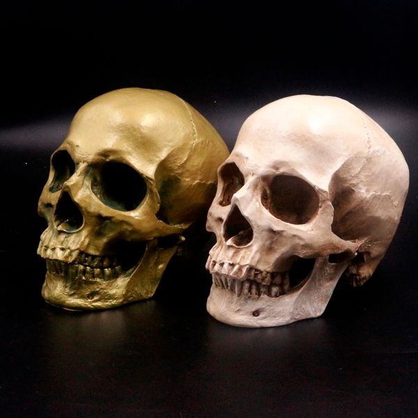 

human skull lifesize 1:1 resin replica medical model aquarium ornament fish tank waterscape cave halloween home decoration y200917