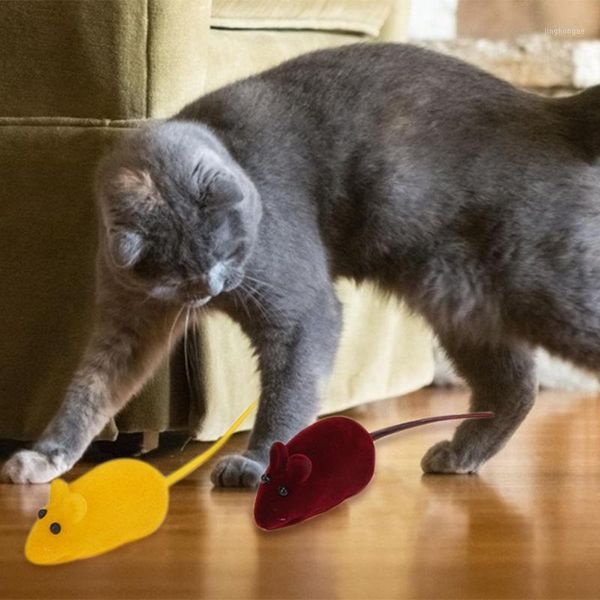 

pet cat interactive teasing toy set plush false mouse fish shape pillow cat snack sticks simulation fish pet supplies1