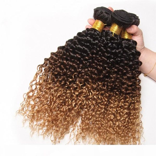 

peruvian ombre human hair 3bundles kinky curly 1b 4 27 dark root brown honey blonde three tone ombre virgin human hair weaves extensions, Black;brown