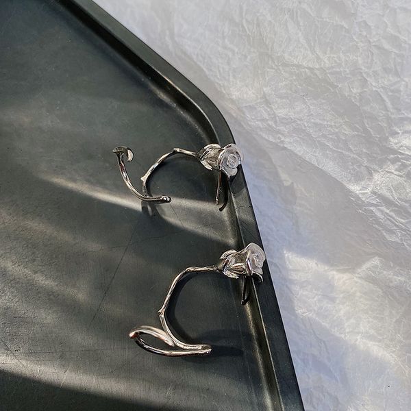 

french s925 silver needle earrings for women, Golden