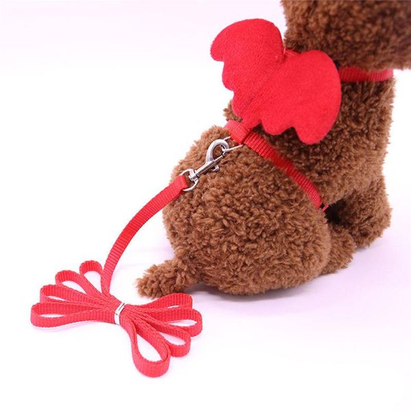 

dog collars & leashes creative angel pet and set puppy leads for dogs cats designer adjustable wing harness accessories