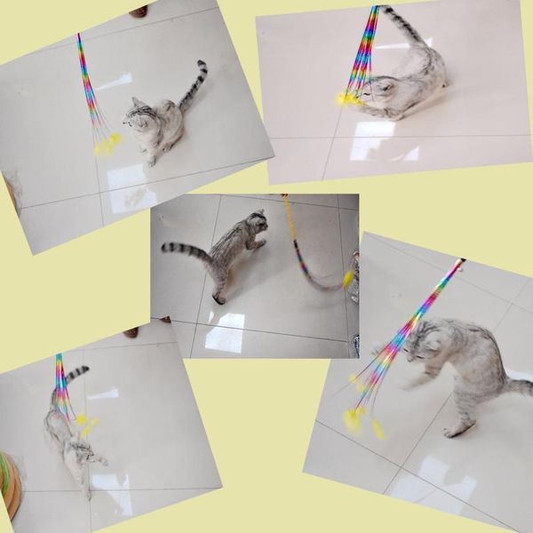 

feather teaser cats toy cats wand toys with bell catcher teaser funny exercise for kitten lb qylysl