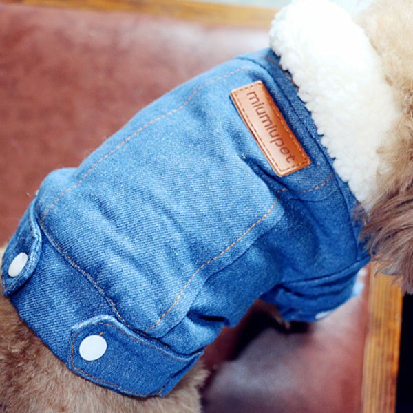 

winter jacket puppy clothes outfits denim coat jeans costume chihuahua poodle bichon pet dog clothing apparel t8190706