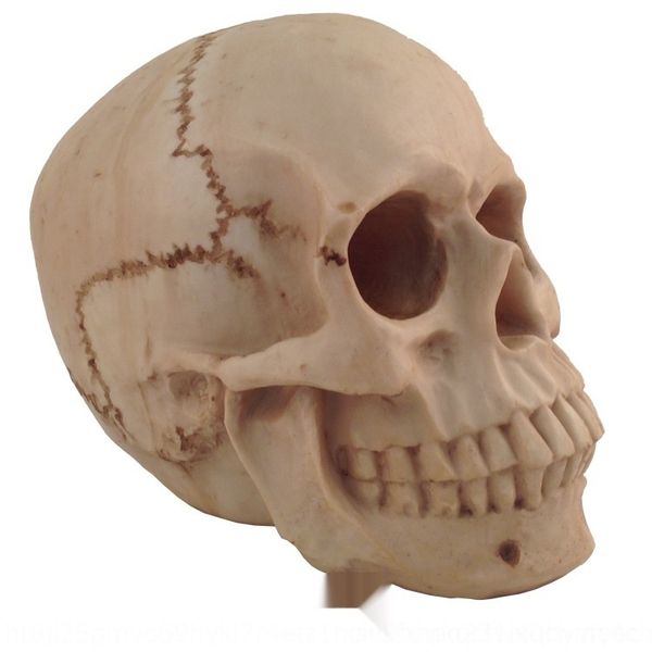 

bq3wr призрак дома поставки бар украшения секретная комната модель реквизит косплей реквизит череп головы реквизит ужасов и бежать моделиров