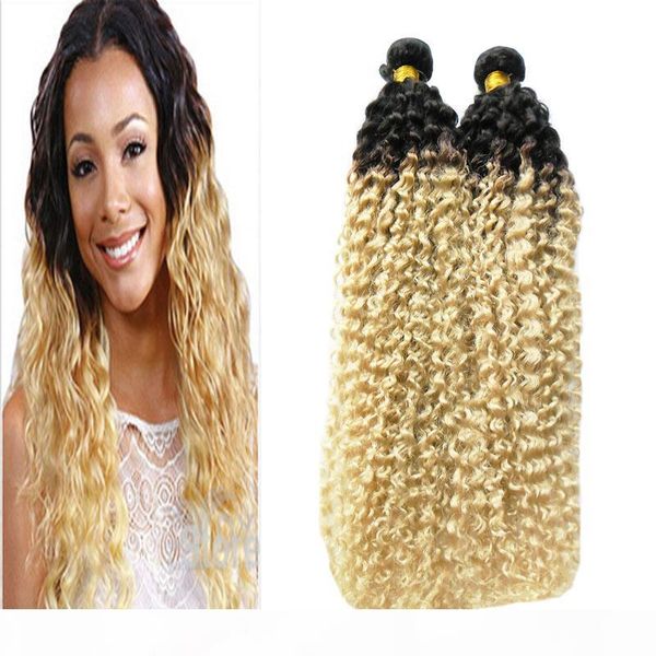 

kinky curly virgin hair ombre weave hair blonde t1b 613 brazilian hair weave bundles 200g brazilian kinky curly 2 pcs, Black
