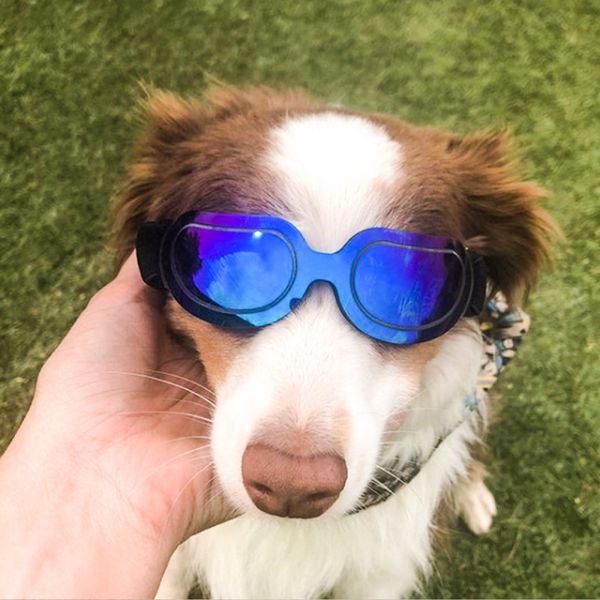 

colorful pet glasses adjustable s/m/l size dog protection eye travel motorcycle accessory