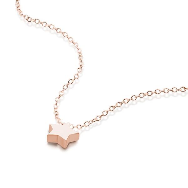 

Minimalist 925 Sterling Silver Rose Gold Necklace Women Men Simple Chain Fashion Sea Star Pendant Statement Couples Choker Gifts