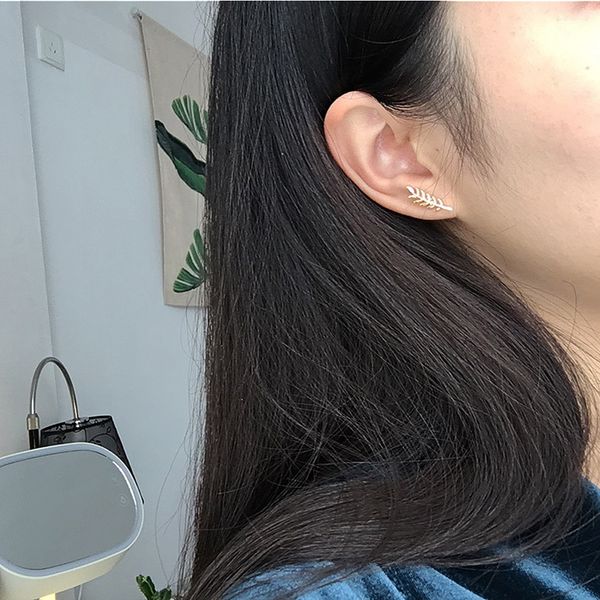 

jewelry alloy electroplating personality feather small leaves leaves exquisite ear studs earrings wholesale, Silver