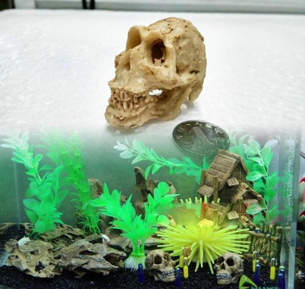 

simulation statue landscape ornament reptile cave artifical rhino sheepshead resin skull aquarium terrarium dec bbyvmb bde_luck