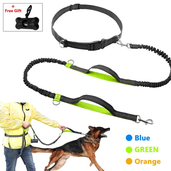 

big elastic double handle reflective dog with telescopic hands-running belt, bag machine