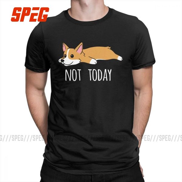 

funny not today corgi dog creative t shirts man short sleeve clothes big size tee shirt crew neck t shirt sport hooded sweatshirt hoodie
