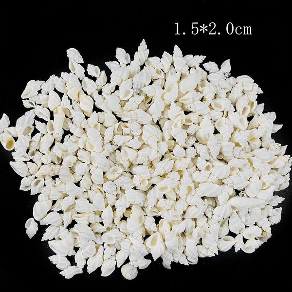 

100g natural white conch shell aquarium fish tank landscape mini conch seashells diy nautical home decor specimen wedding decor h bbymnl