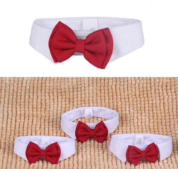 

new_dhdog bow gentleman pet adjustable neckties cat butterfly acce necktie decor collar tie ties sqchyk ldvtm