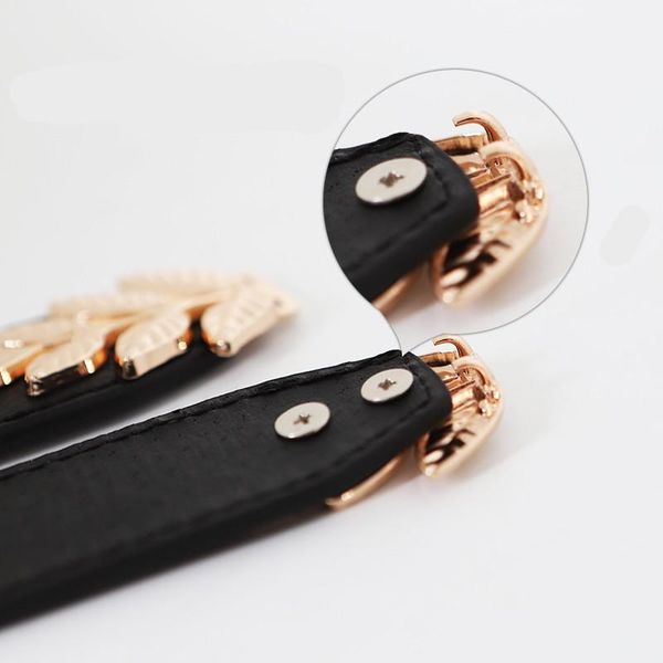 

мода корсет пояс женщина талии тонкой золотой лист пряжка пояс для женщин упругих поясов luxury ceinture femme платье камербанд sqcfop, Black;brown