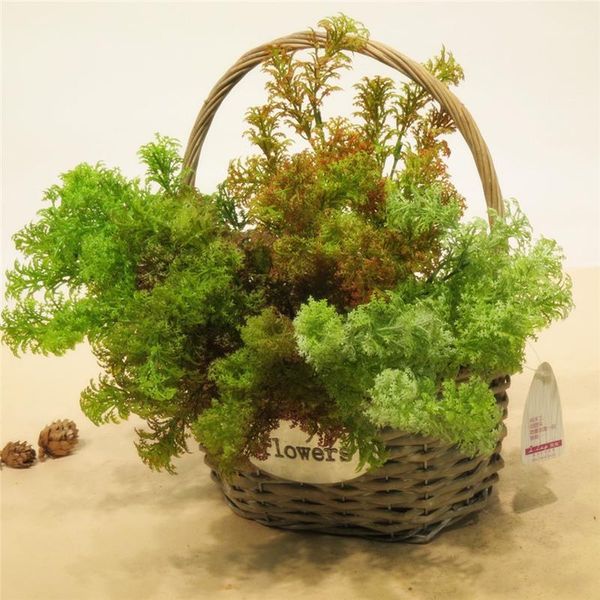 

decorative flowers & wreaths artificial plastic moss grass green plant home church shop floral wall decoration1