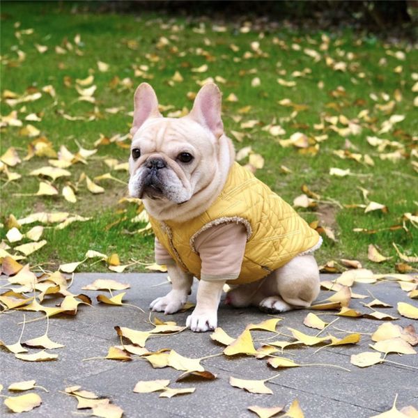 

fifty thousand double-sided cotton waistcoat winter warm dog clothing