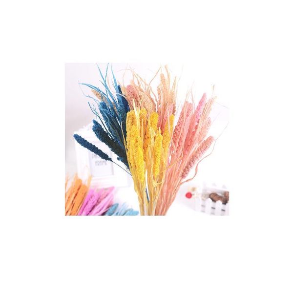 

10pcs natural dried flower grain artificial flower decorative bouquet for home wedding table decoration diy wreath fak jllglj