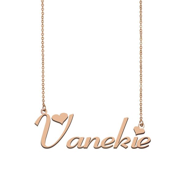 

Vanekie Name Necklace Custom Nameplate Pendant for Women Girls Birthday Gift Kids Best Friends Jewelry 18k Gold Plated Stainless Steel, Silver