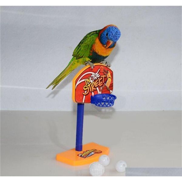 

new 3pcs balls pet birds chew toy parakeet bell balls parrot toys birdie basketball hoop props pet parrot pet qyloqw bdesports