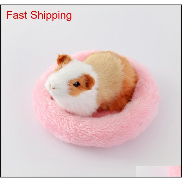 

buy 1 get 4 pet house nest for small animals warm guinea hamster cushion mat round shape pet bed for squi qylsbc packing2010