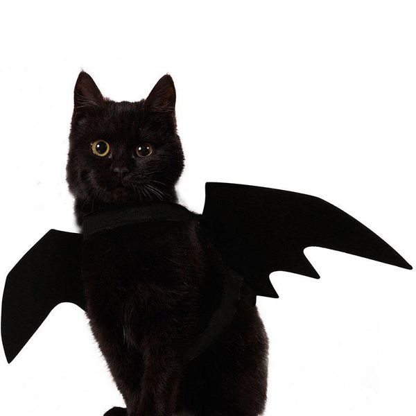 

funny cats cosplay costume halloween pet bat wings cat bat costume fit party dogs cats playing pet accessories h wmtfbp