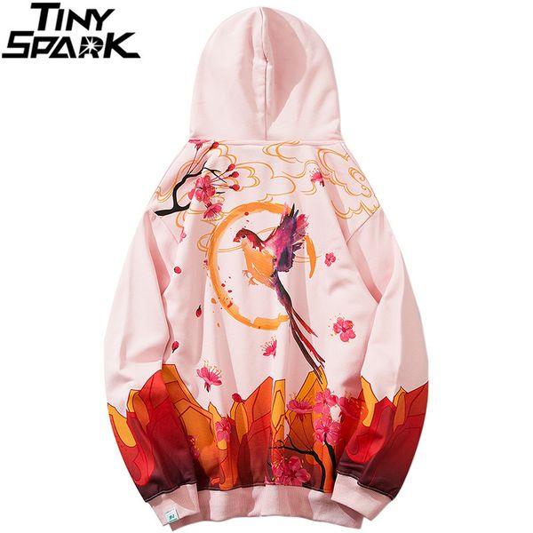 

streetwear hoodie harajuku hip hop mens colorful bird flower sweatshirt autumn winter fleece hooded pullover cotton pink kg-404, Black
