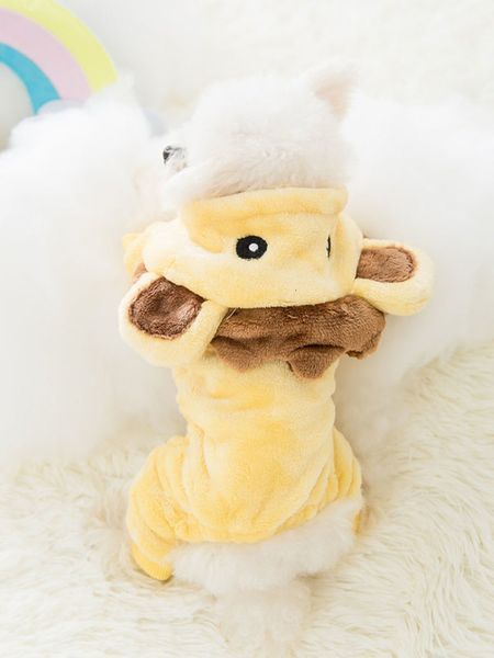 

animal four legged autumn and winter teddy small dog bear bomei cat pet cloth
