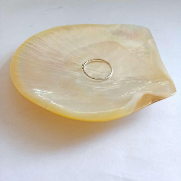 

nautical home decor shells jewelry diy seashells beach wedding decorations shell ocean decor restaurant caviar seasoning tray h jllpzj