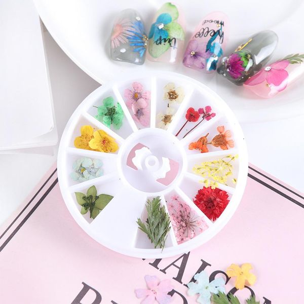 

1 box 3d сухих цветов nail украшения природные цветочные наклейки mixed сухие цветы diy nail art таблички designs маникюрные принадлежности