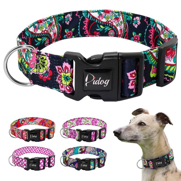 

nylon dog and adjustable print french is a medium beagle bulldog collar