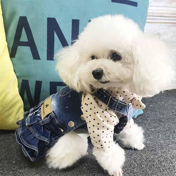 

dog apparel strap elastic pet denim skirt cute cat and teddy bichon small clothes1