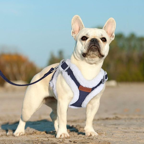 

winter warm dog harness leash set soft padded dog harness vest no pull adjustable pet harness with lead leash arn bbyzhy