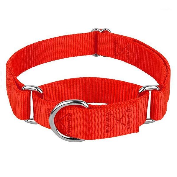 

dog collars & leashes martingale nylon collar adjustable soft comfortable puppy pet for small large dogs traning control1