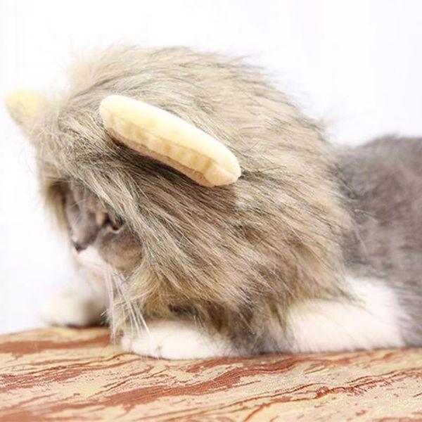 

хэллоуин забавная кошка шляпа милая трансформация украшения кошек аксессуары для кошек кеды головной уборный парик костюм костюм костюм пито