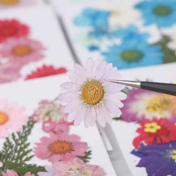 

new diy flowers, dried flowers, matching materials, children's handmade plant specimens, p studio props jllwcy